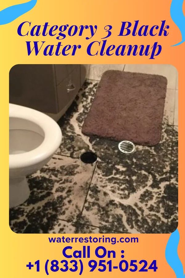 Category 3 Black Water Cleanup in Woodloch, TX
