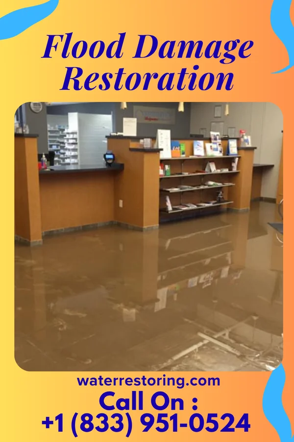Flood Damage Restoration in Woodloch, TX