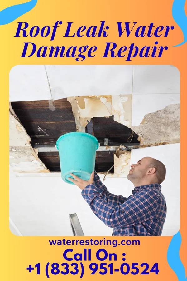 Roof Leak Water Damage Repair in Woodloch, TX