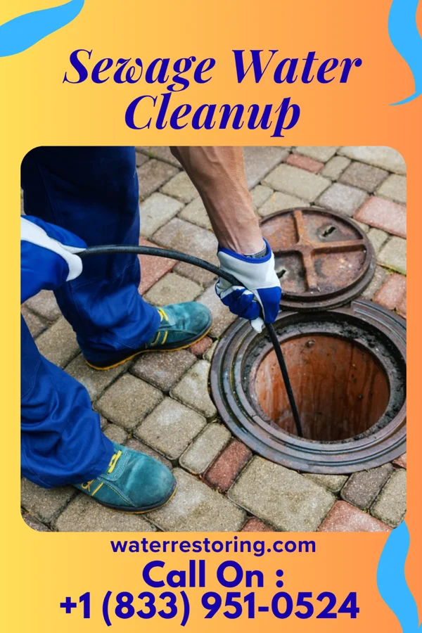 Sewage Water Cleanup in Woodloch, TX