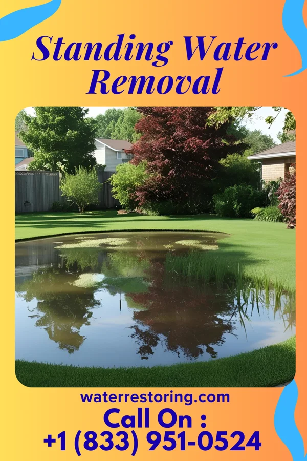 Standing Water Removal in Woodloch, TX